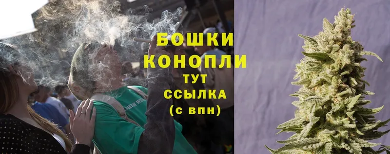 omg как зайти  сколько стоит  Красный Сулин  Марихуана Ganja 